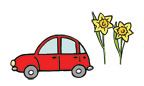 A red car and two daffodils.